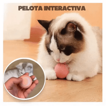 Pelota Interactiva para mascotas